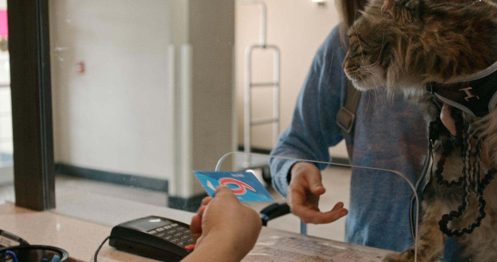Motel 6 Rockford, Il Eksteriør billede